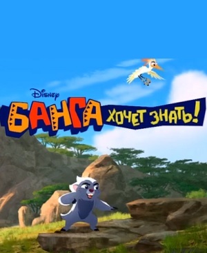 Банга хочет знать